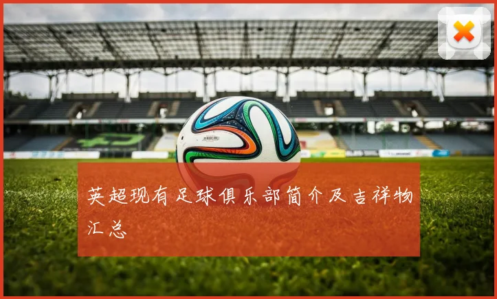 英超现有足球俱乐部简介及吉祥物汇总