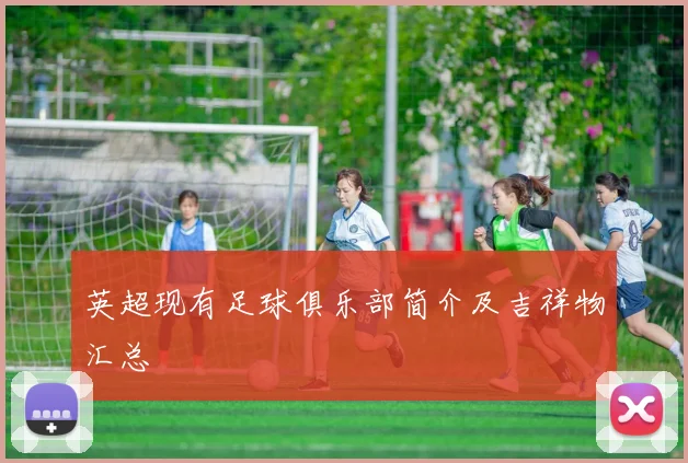 英超现有足球俱乐部简介及吉祥物汇总