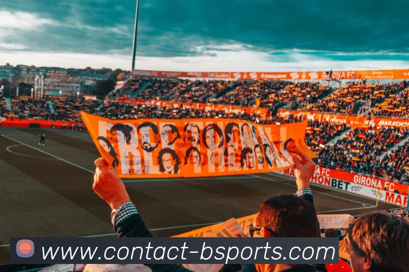 奖项证书
